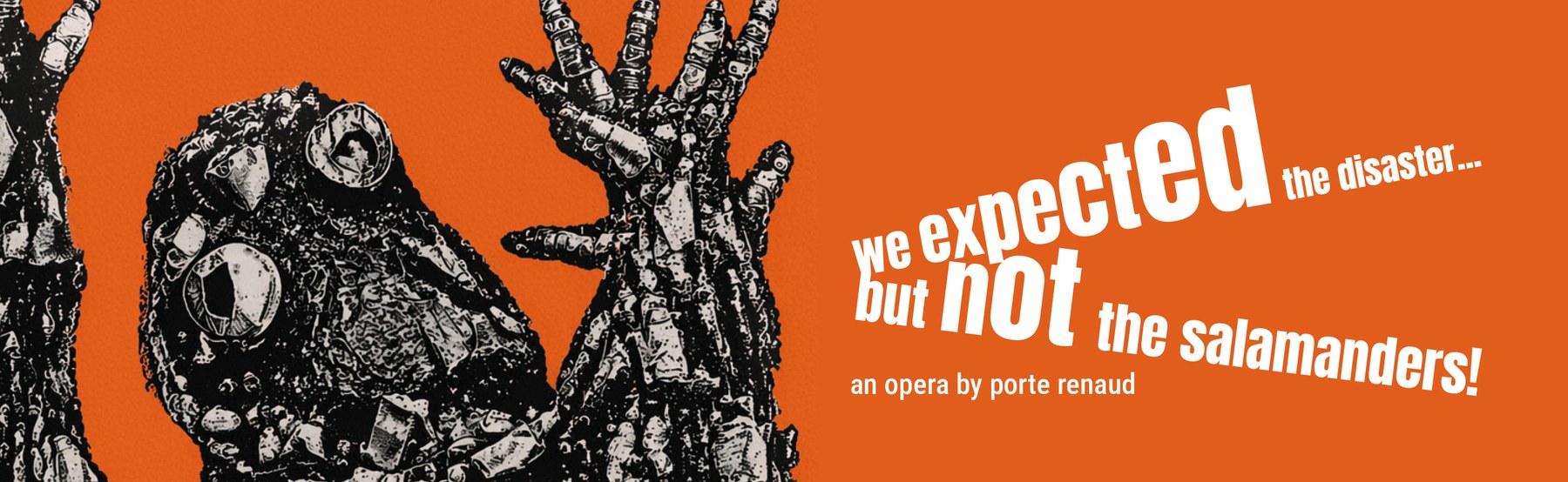 We Expected the Disaster… — affiche